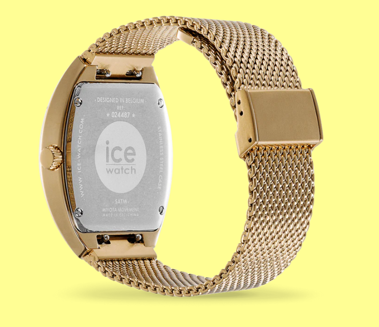 ICE Boliday - Dome - White Gold - Watch Ice Watch view 2