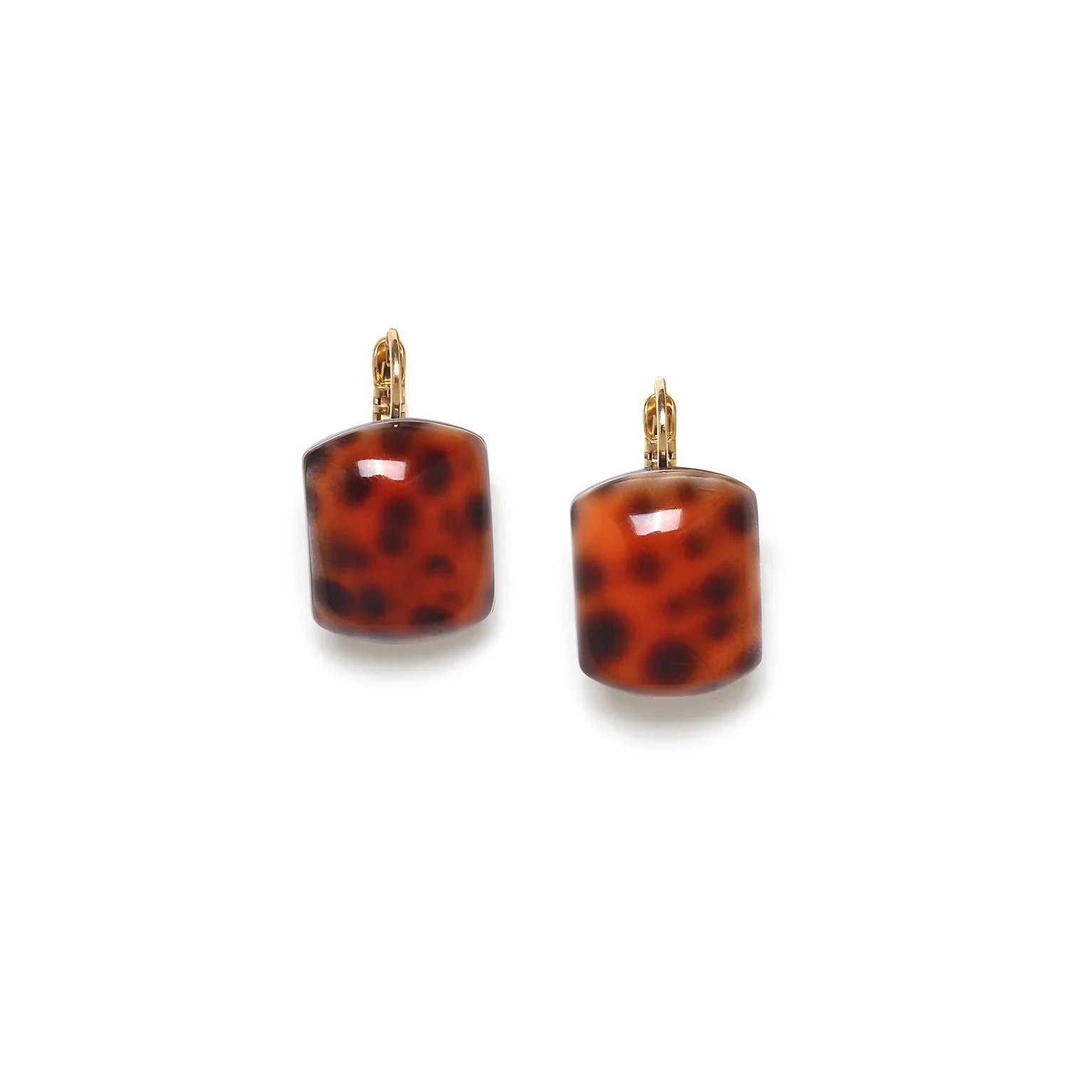 Tigri - Dormienti - Orecchini - Nature Bijoux