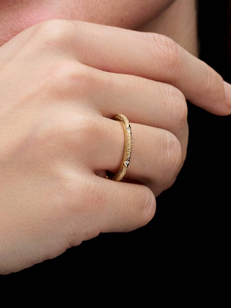 Ring Pandora - Textuur en stenen | 163322C01