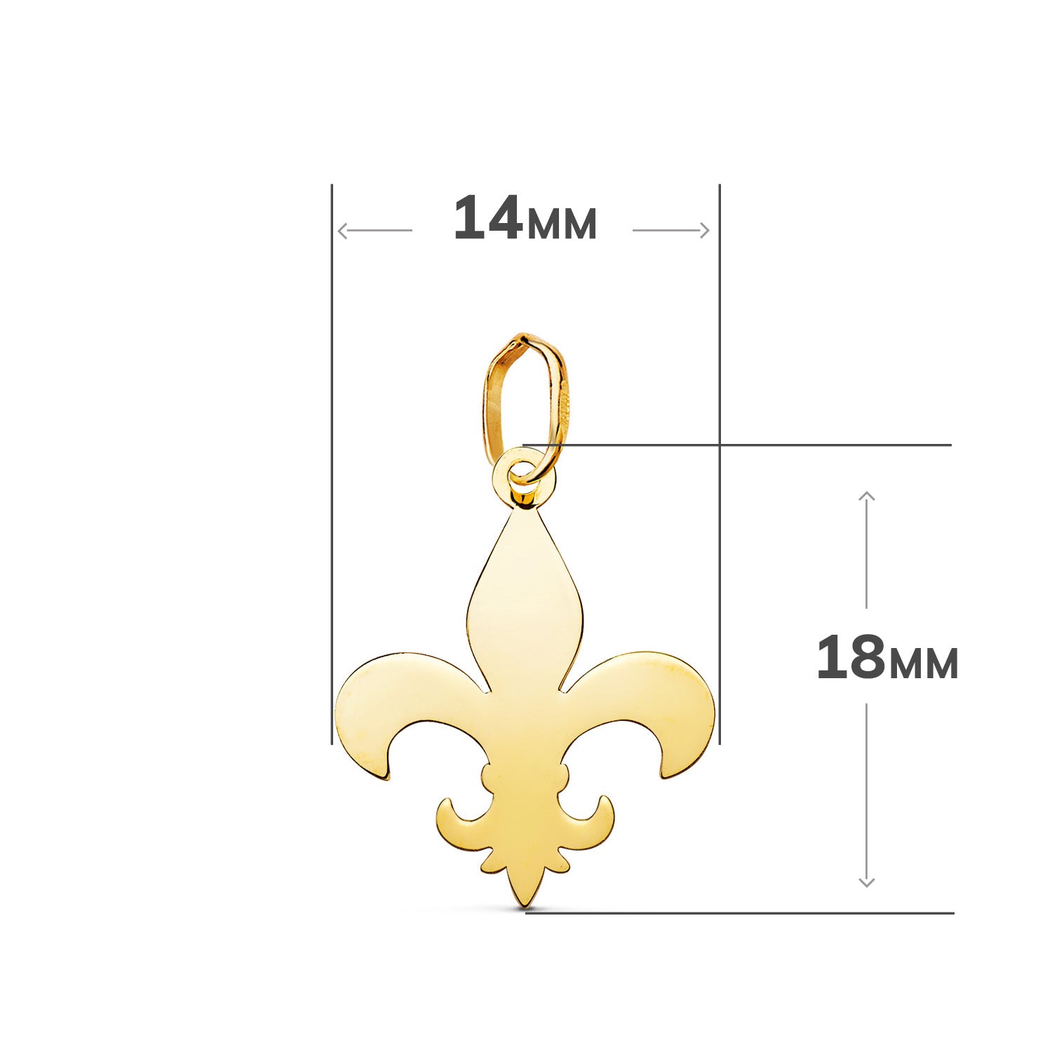 Pendentif Fleur de Lis en Or Jaune 18 Carats en Mesure de Luminosité : 18 X 14 mm