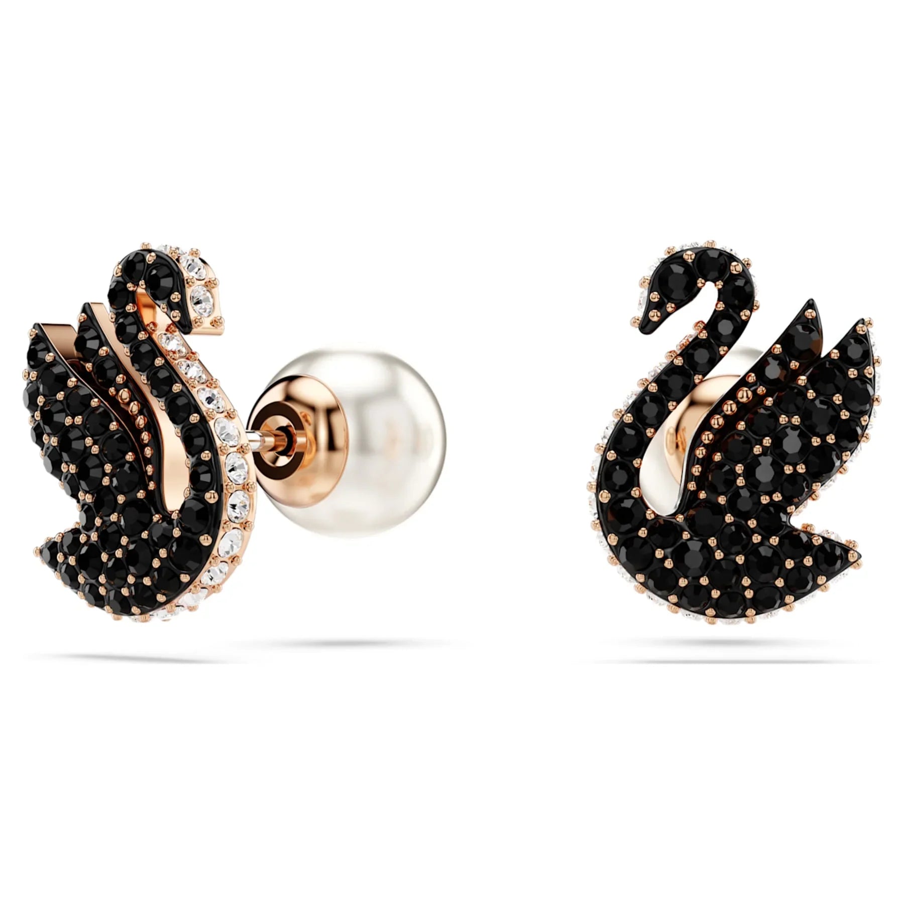 Swan Black Rose レディース スタッド ピアス – スワロフスキー ビュー 4