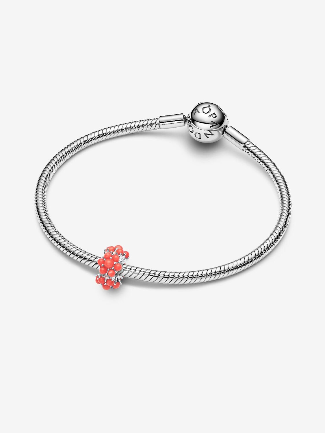 Océan - Corail - Argent - Charms - Pandora