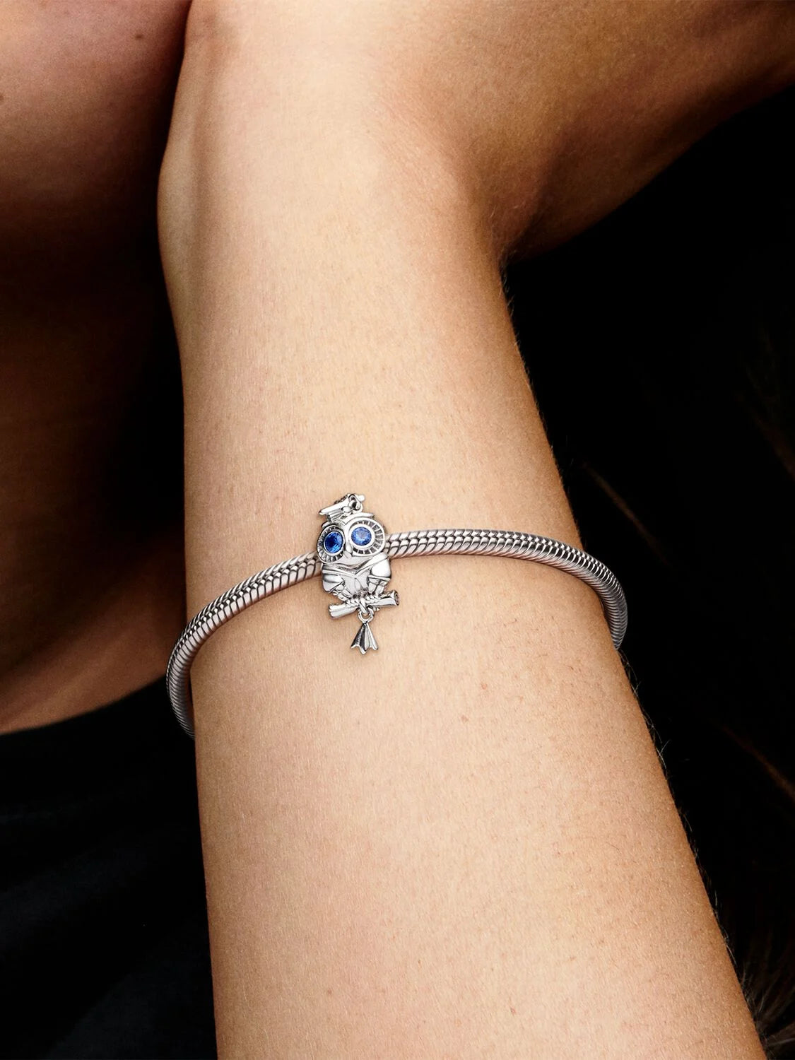 Sage Owl Graduate Charm | Pandora