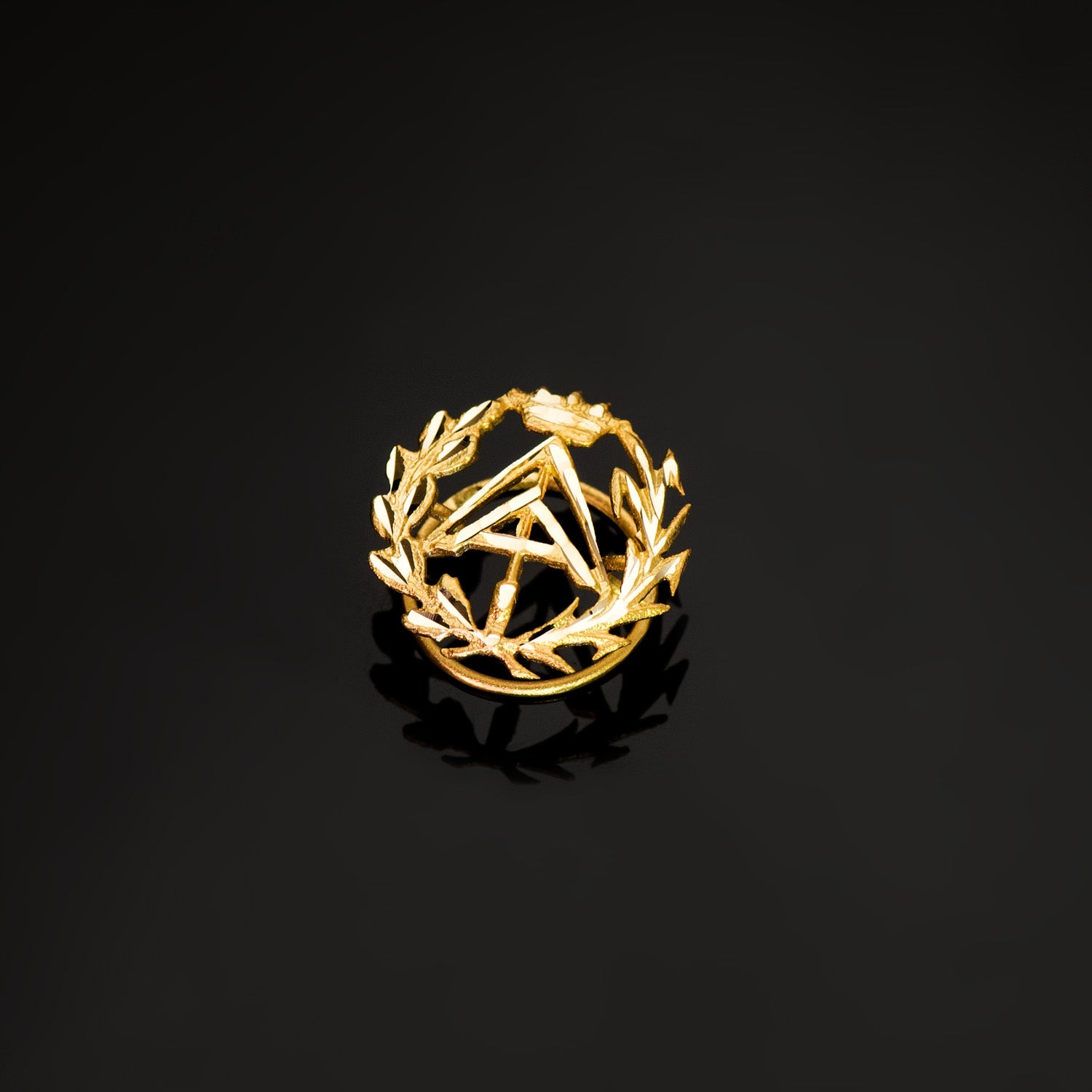 18K geelgouden badgeoverzicht (Technische architect) 16 x 15 mm