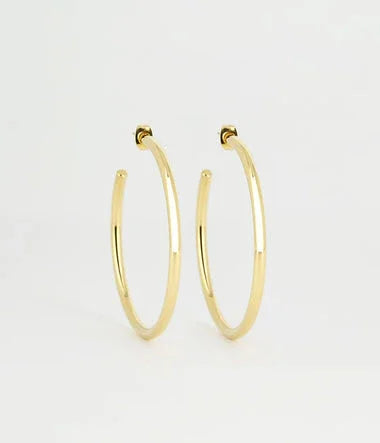 Alienora - Acciaio Dorato - Orecchini - Zag Bijoux