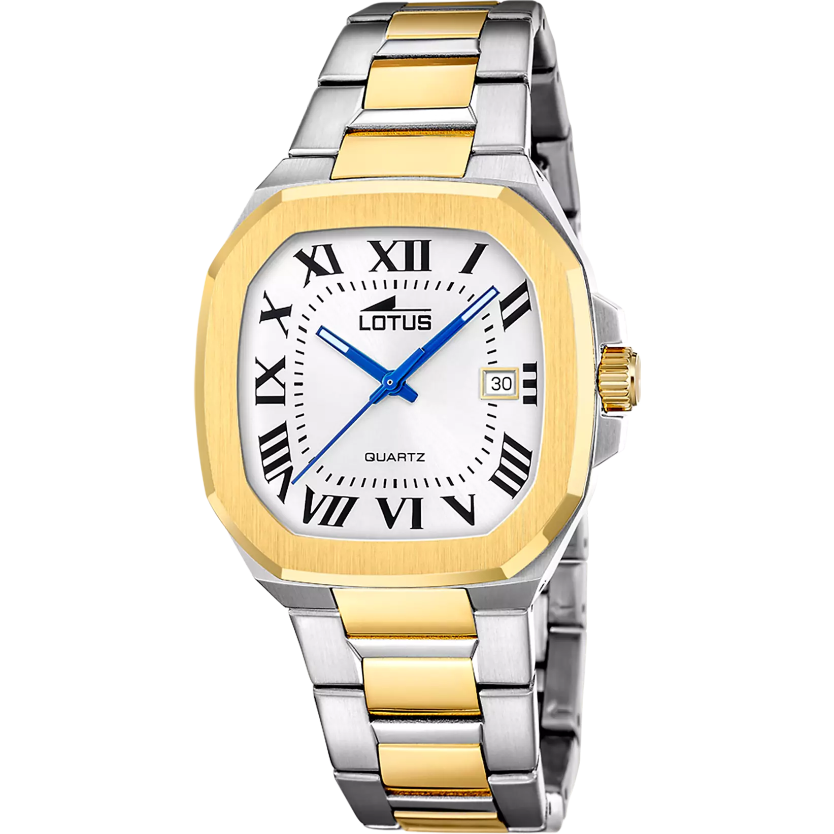 Roman Classic Two-Tone Watch – Men | Lotus