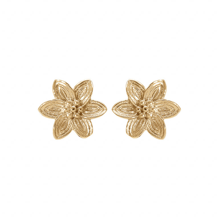 Boucles d’oreilles fleur en argent 925 doré