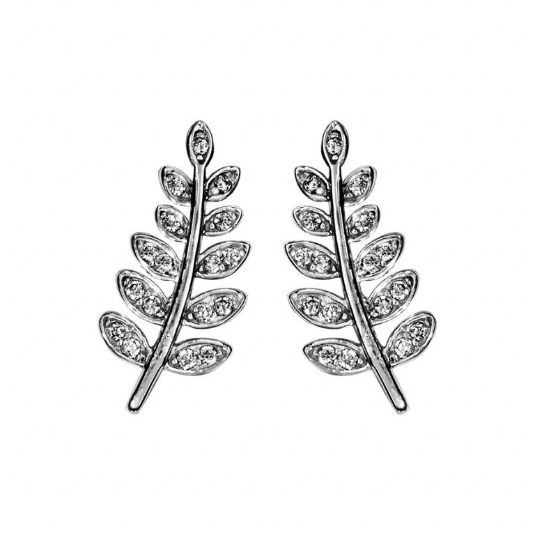 Oorbellen met veren – Zilver | Azulin