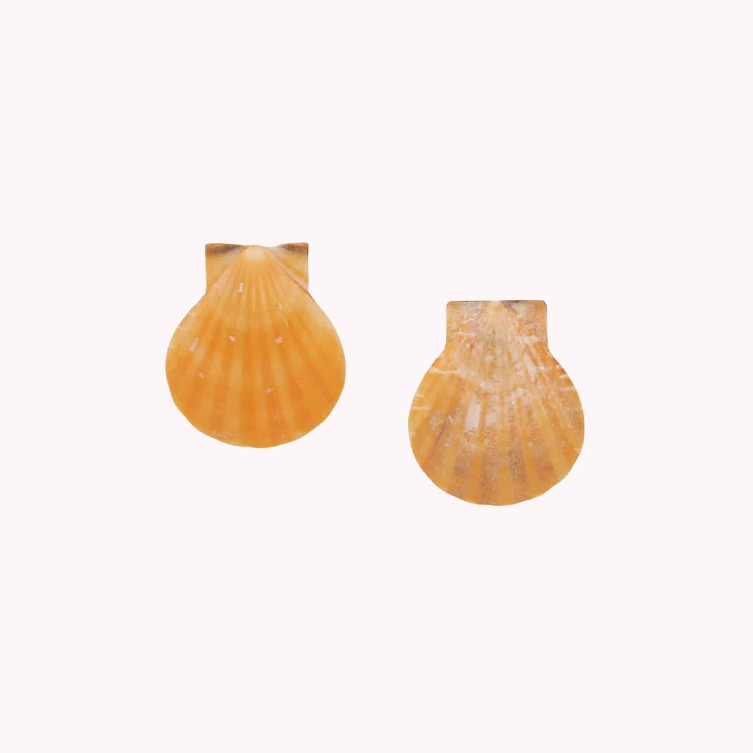 Boucle d'oreille Alona coquillages laiton orange 12--90532 Nature Bijoux
