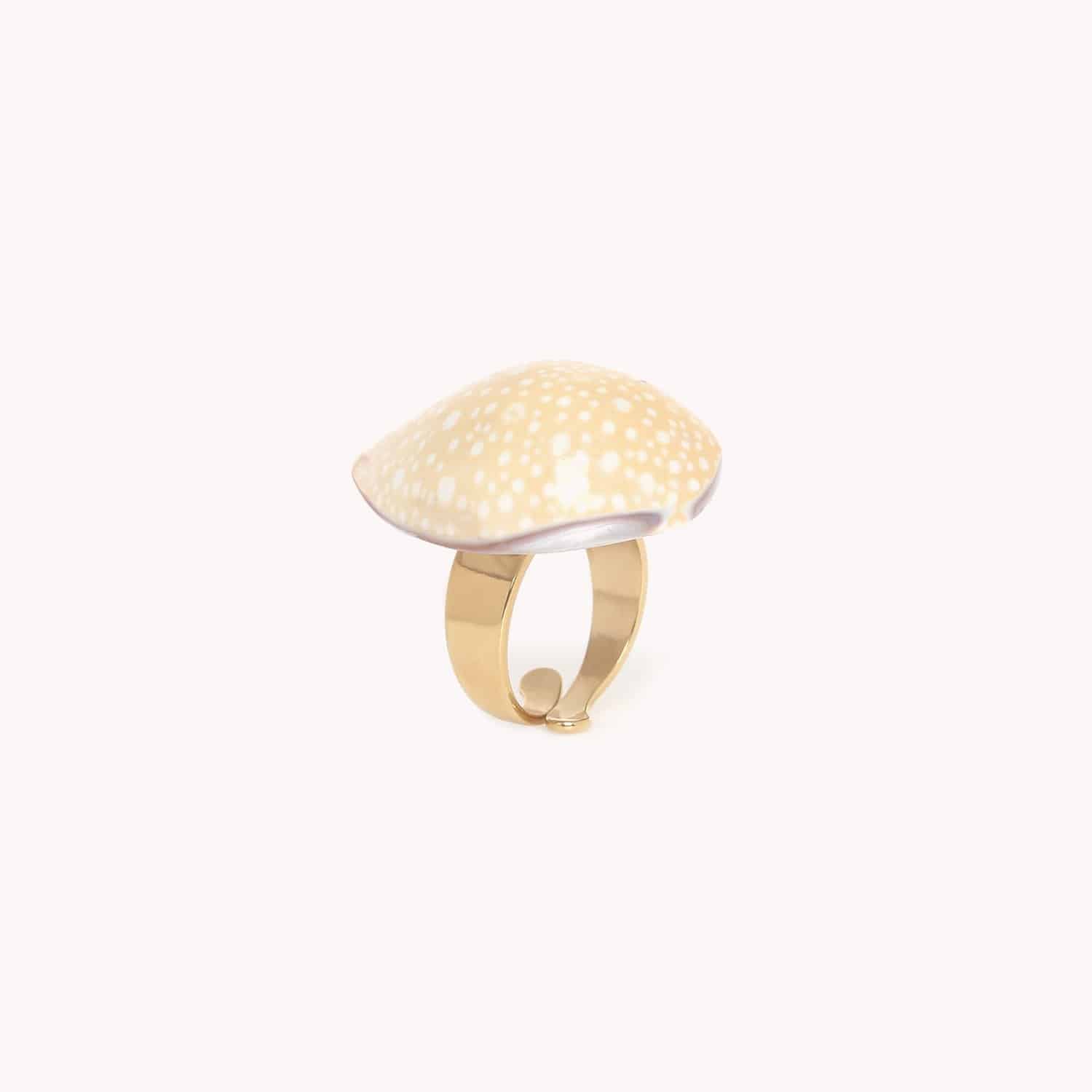Détail Cyprea Miliaris 19--25940 Nature Bijoux