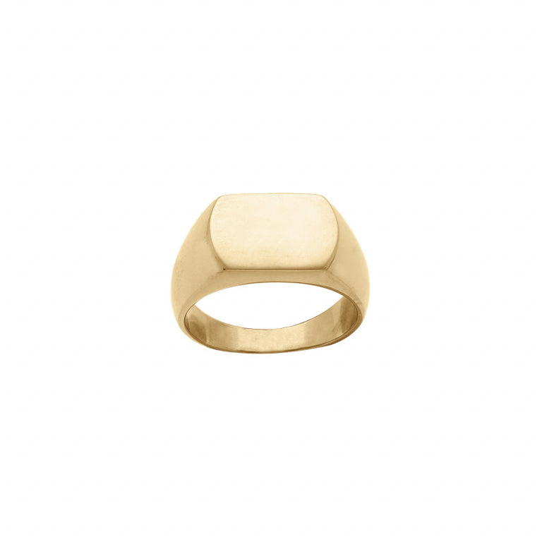 Rectangular satin tray ring with rounded sides in steel