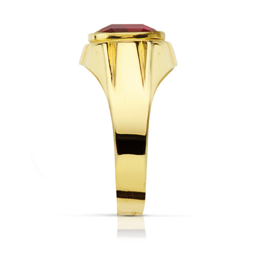 18 karat gult guld mænds ridder zircon S