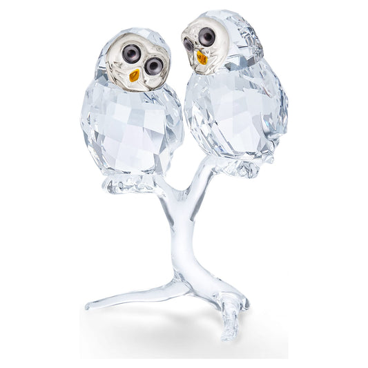Couple of Owls - Figurine - Swarovski