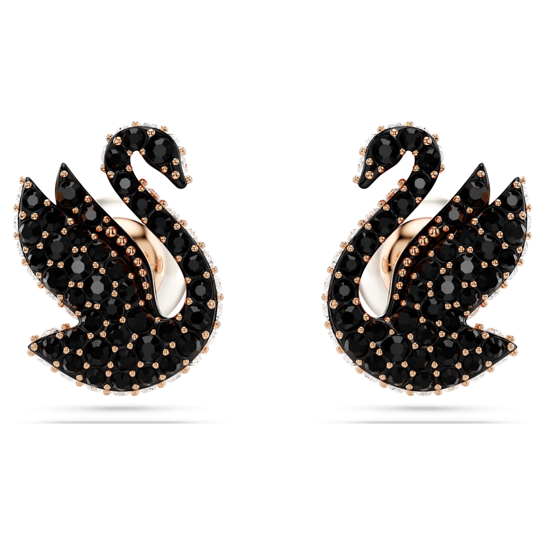 Swan - Black Rose - Stud Earrings - Swarovski