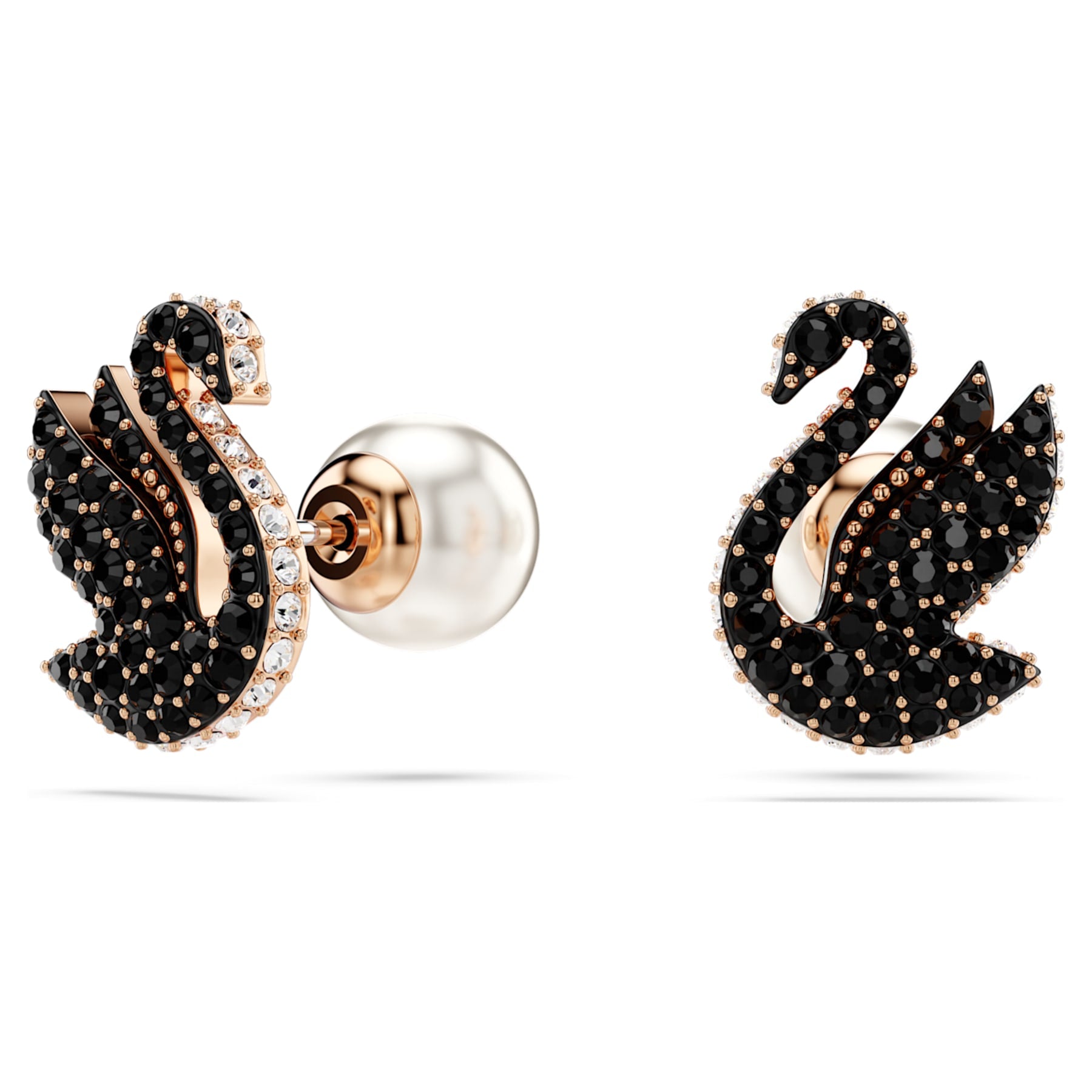 Swan - Black Rose - Stud Earrings - Swarovski