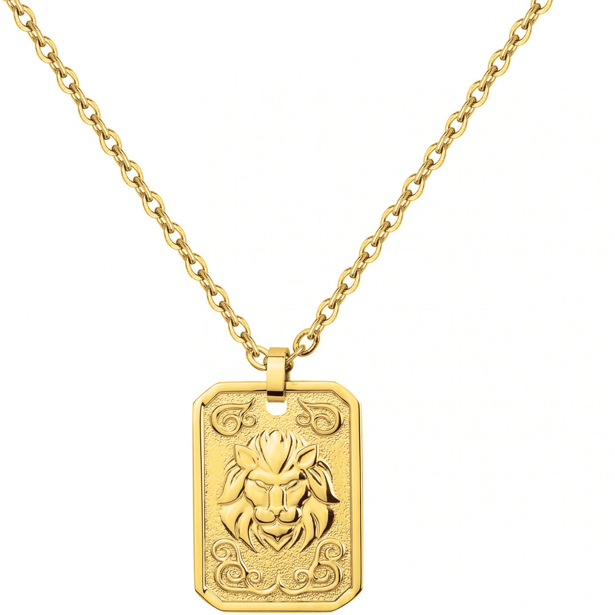 Naszyjnik zodiaku PHEBUS Męski złoty stal 75-0230