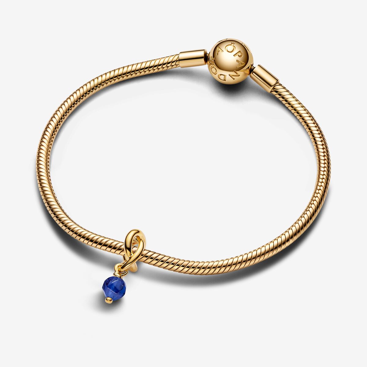 Ewigkeitkreis - Blau - Gold - Charms Pandora