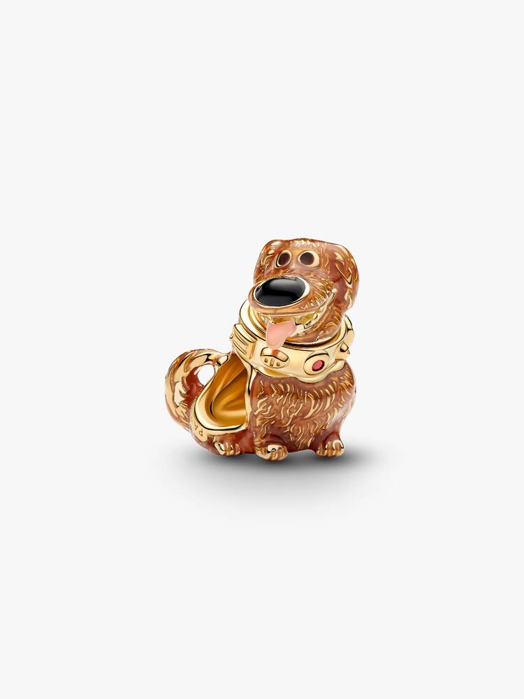 Charm Disney Pixar Up there Doug Gold | Pandora