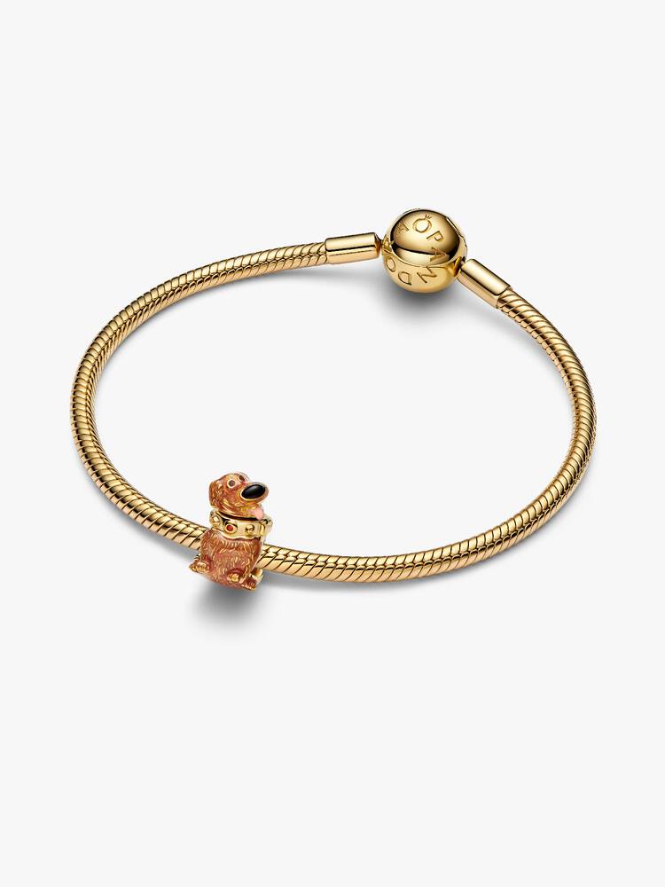 Charm Disney Pixar Up there Doug Gold | Pandora