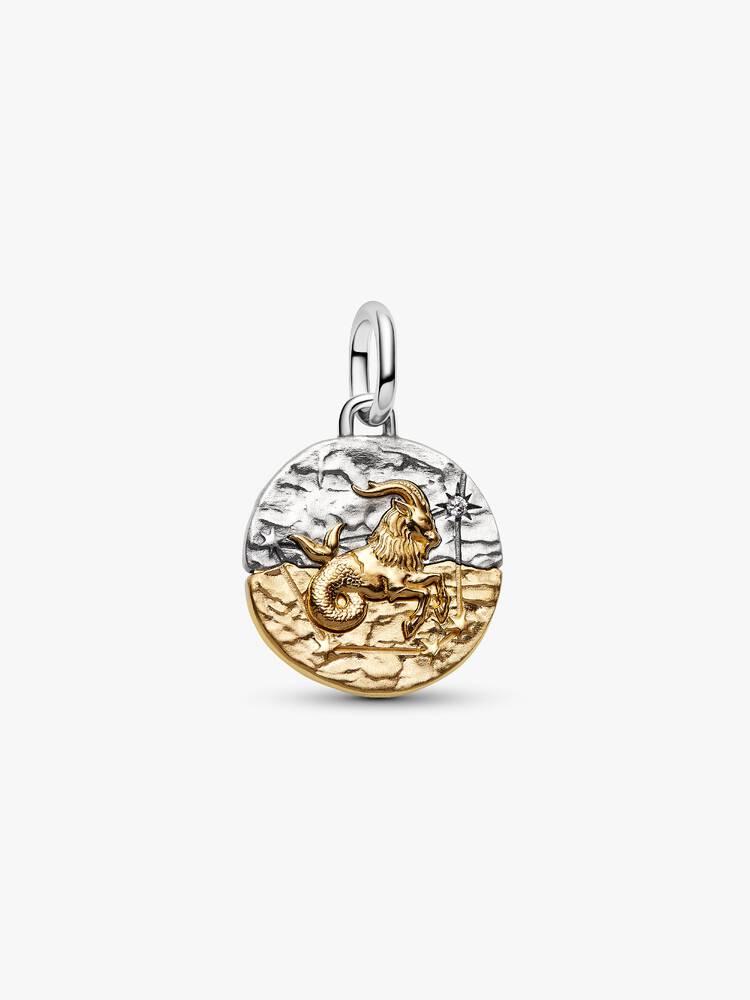 Charm Médaillon Signe du Capricorne Bicolore