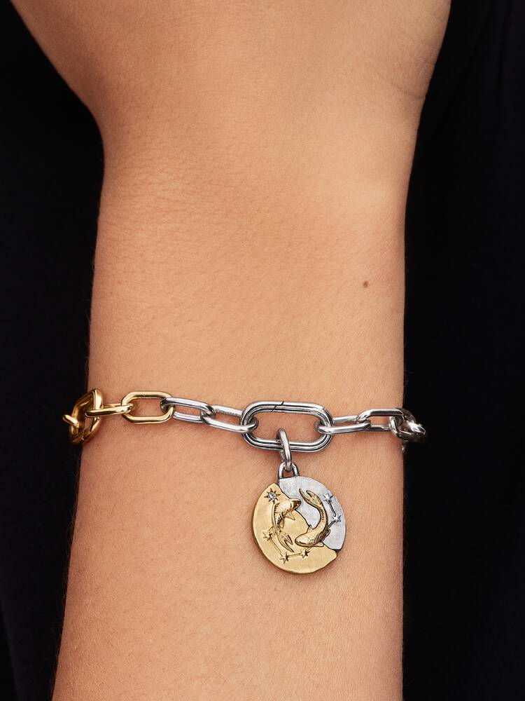 Charm Médaillon Signe des Poissons Bicolore | Pandora
