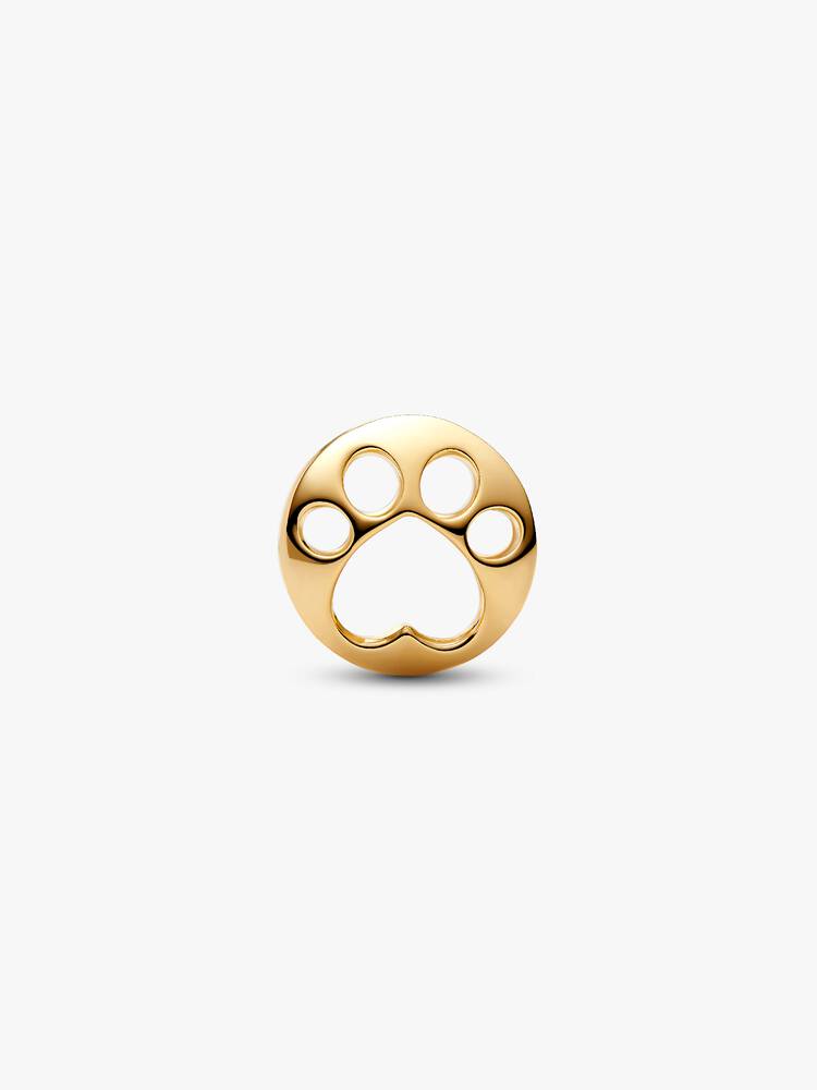 Guld gennembrudt pote charme | Pandora