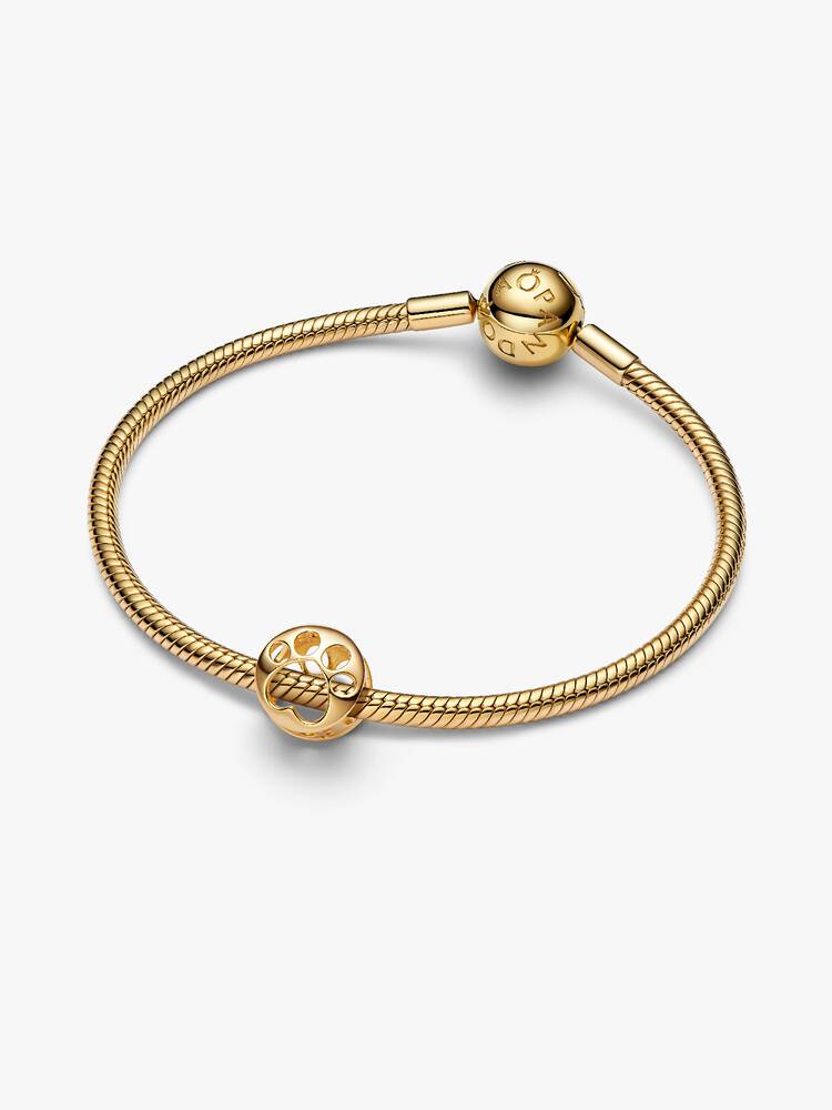 Guld gennembrudt pote charme | Pandora