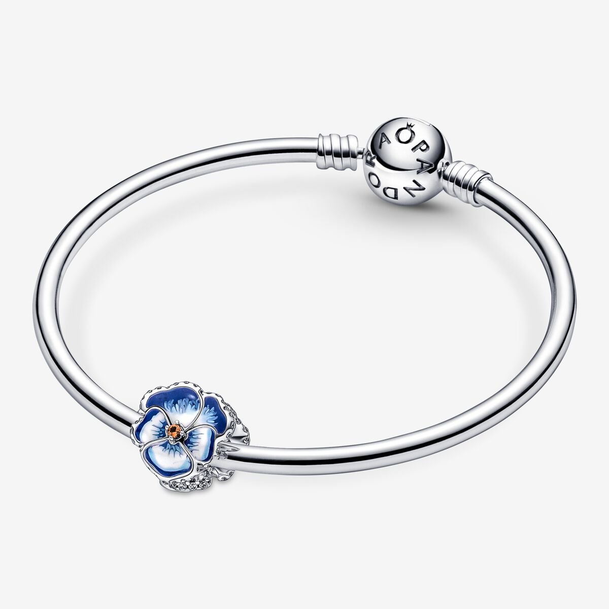 Nature - Blue Thought - Money - Charms Pandora