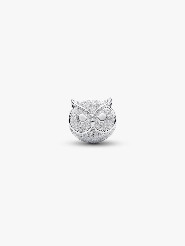 Mini Strukturierter Eulen Charm | Pandora