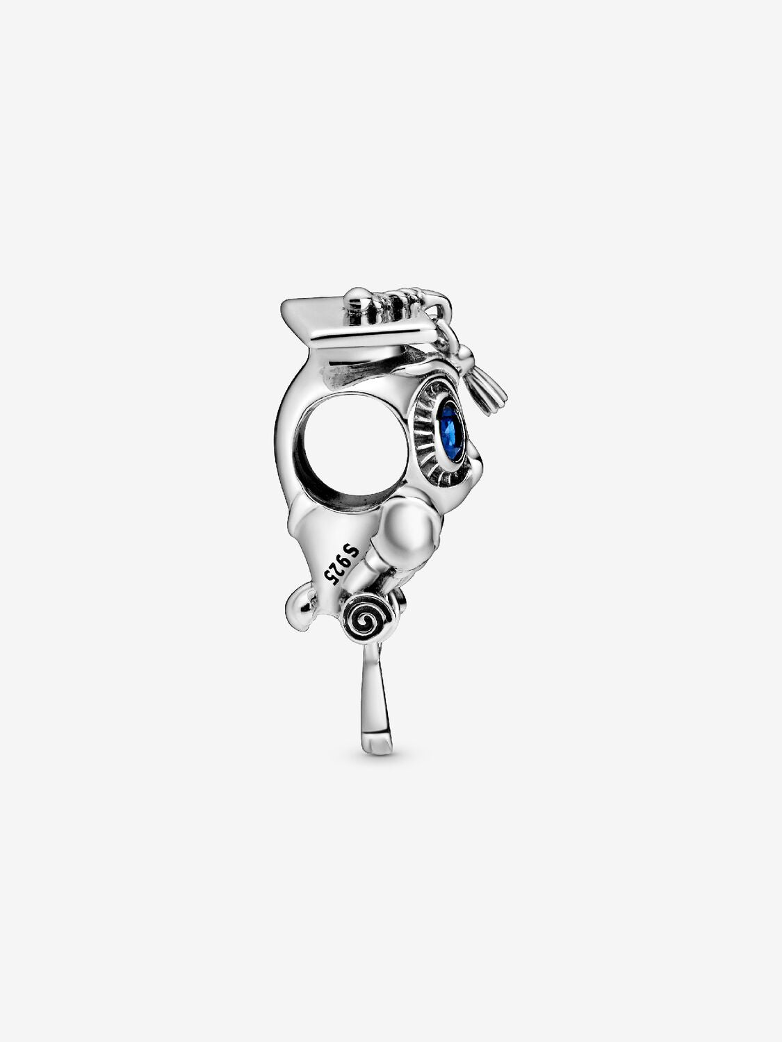 Sage Owl Graduate Charm | Pandora