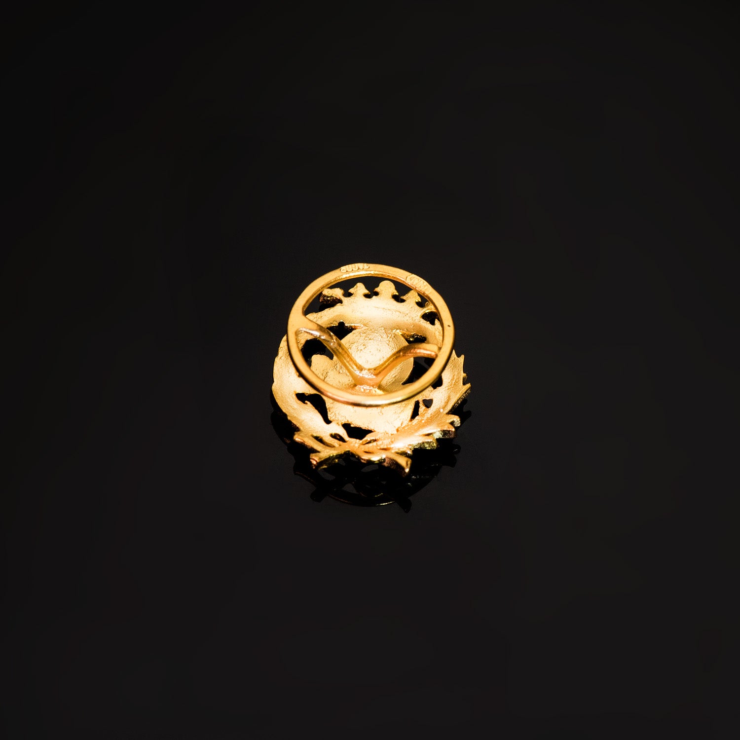 Aardrijkskundebadge 18K geel goud 17 x 14 mm