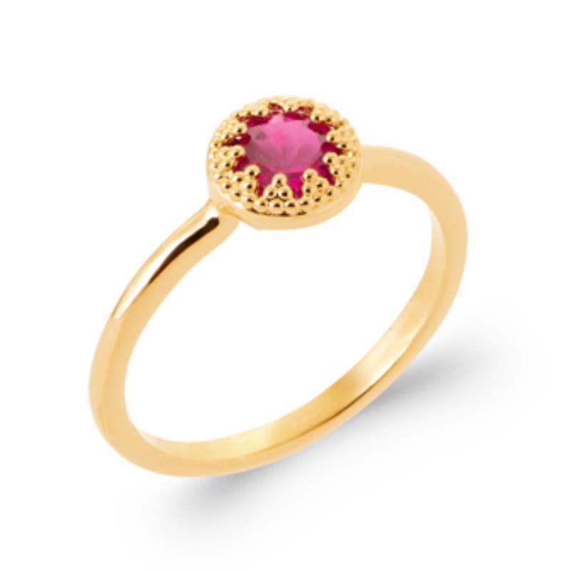 Ronde ring – verguld | Azulin