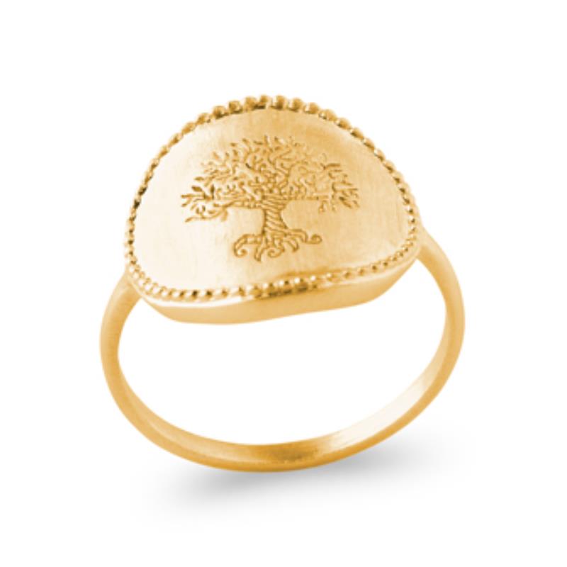 Anillo Ovalado Grabado – Chapado en Oro | Azuline
