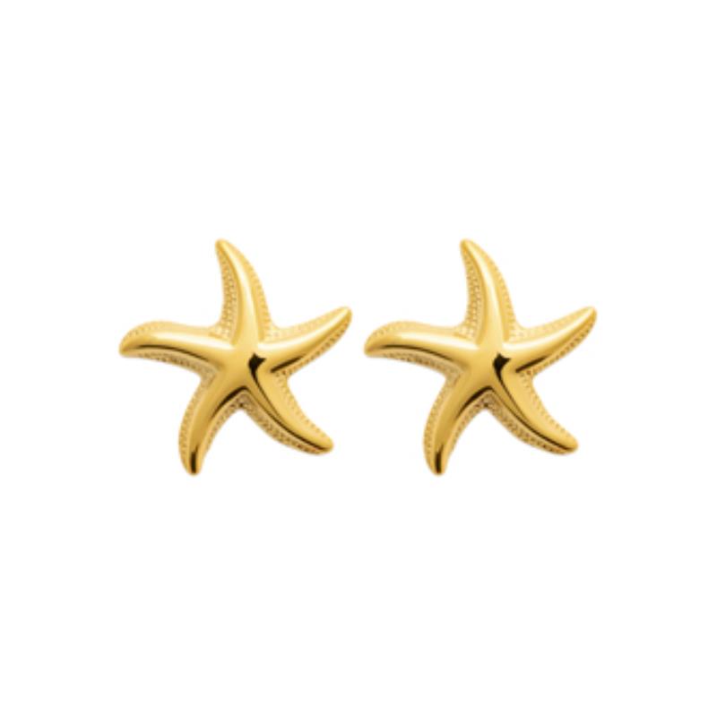 Zeesterrenchips – Gouden Staal | Azulin