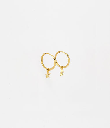 Astrid - Golden Steel - Earrings - Zag Bijoux