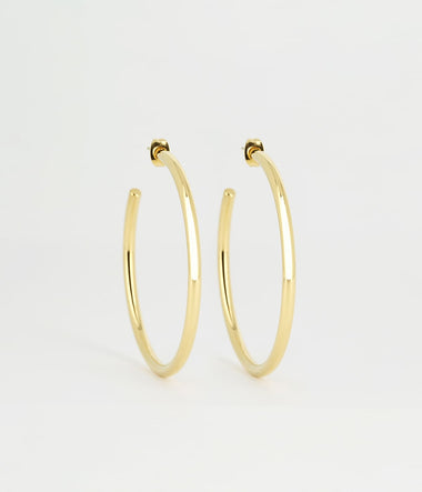 Alienora - Golden Steel - Earrings - Zag Bijoux