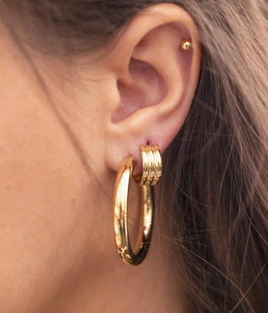 Angelique - Golden Steel - Earrings - Zag Bijoux