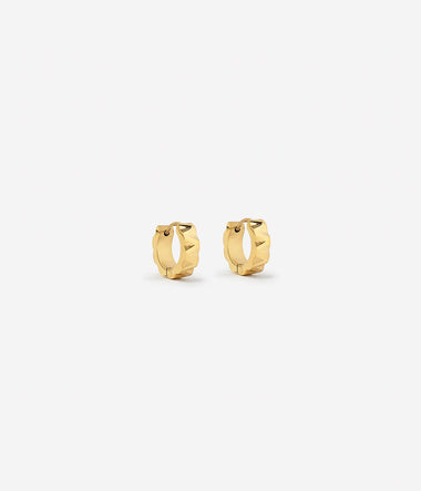 Anne - Golden Steel - Earrings - Zag Bijoux