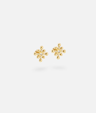 Golden Steel - Earrings - Zag Bijoux