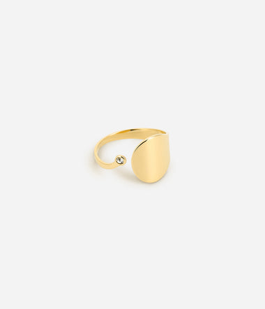 Altesse – Goldener Stahl – Ring – Zag Bijoux
