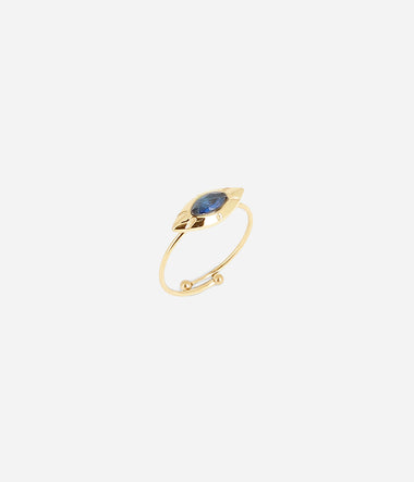 Ausar – Goldener Stahl – Ring – Zag Bijoux