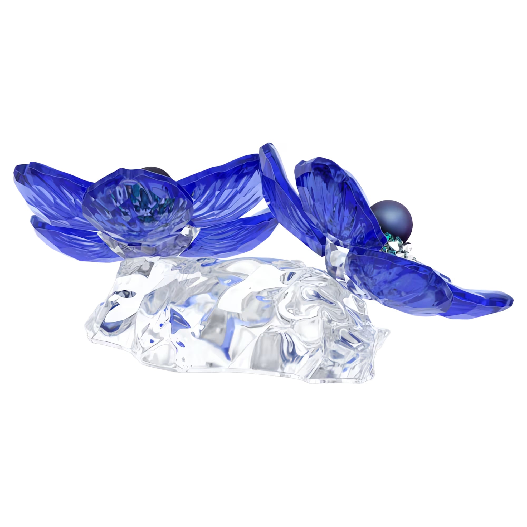 Swarovski Figurine - Crowned Anemone - SCS